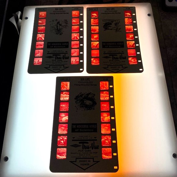 Tru-Vue Film Cards Set of 3 Stereoview Sea Life Ichthyology Young Scientist VTG - Picture 3 of 7